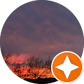 MD's Profile Image