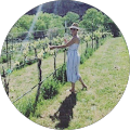 Lonna Larson's Profile Image