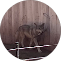 Maureen's Profile Image