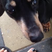 Raelene Vaughan Brown's profile image
