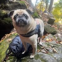 Robin Hollister's profile image