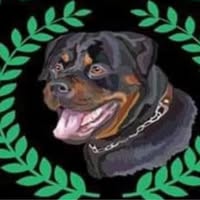 Terry Morton's profile image