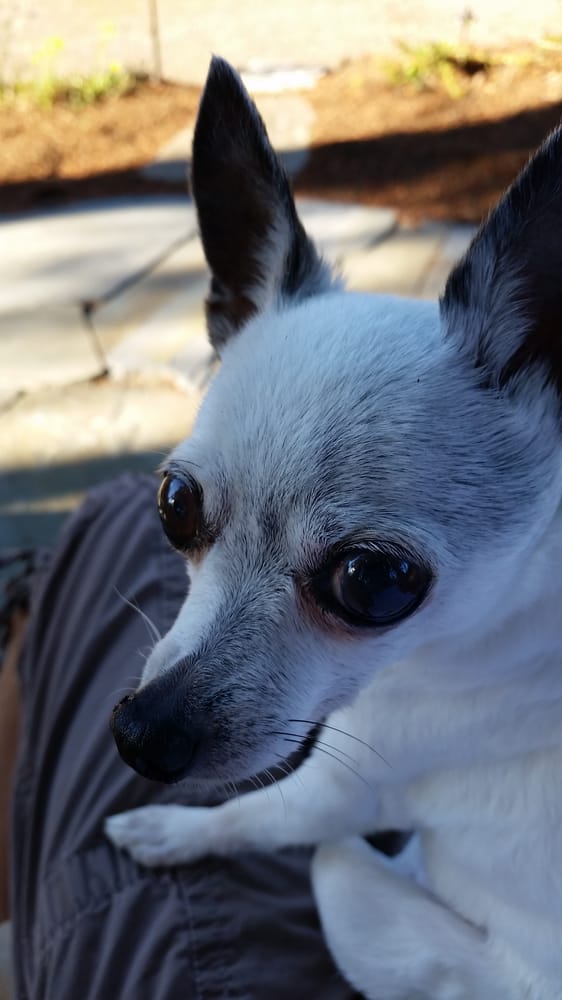Maggie H.'s profile image