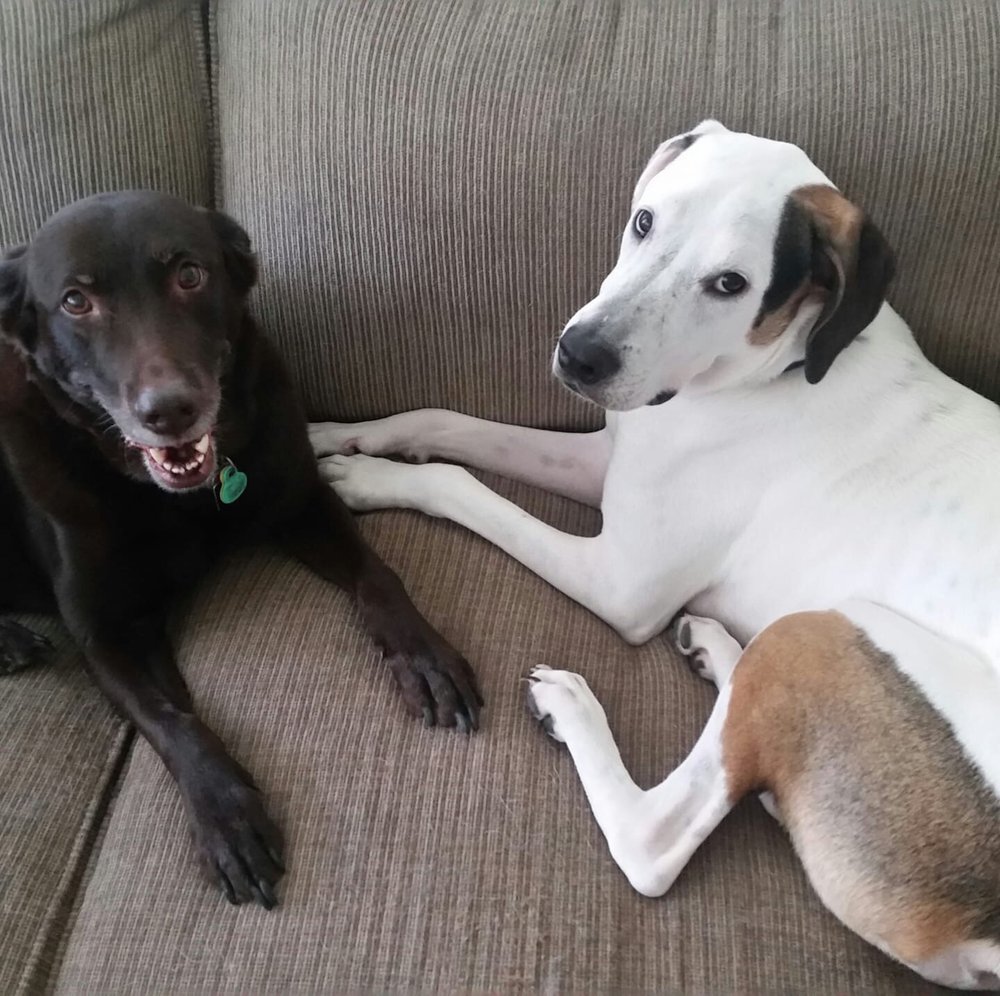 Jason B.'s profile image