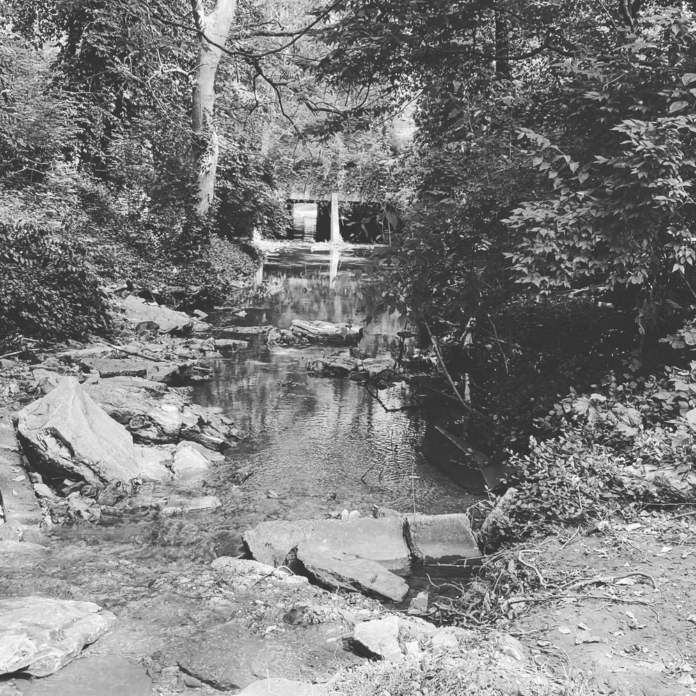 Timothy V.'s profile image