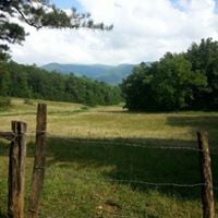 Wynell S.'s profile image