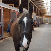 T P.'s profile image