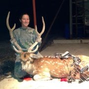 Holly H.'s profile image