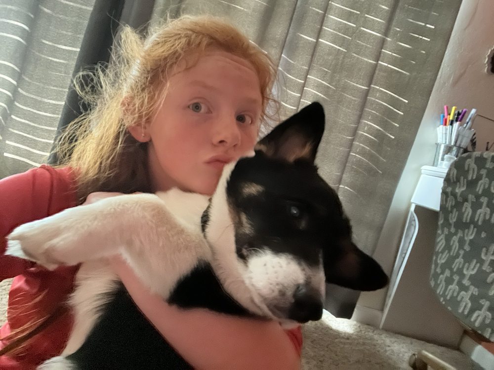 Peyton T.'s profile image