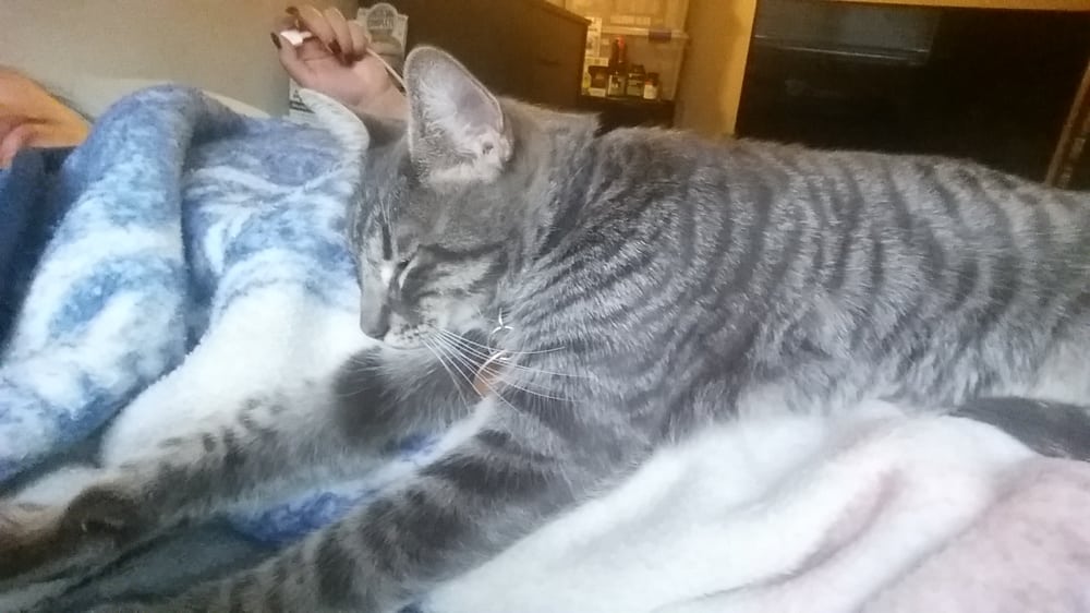 Lorena A.'s profile image