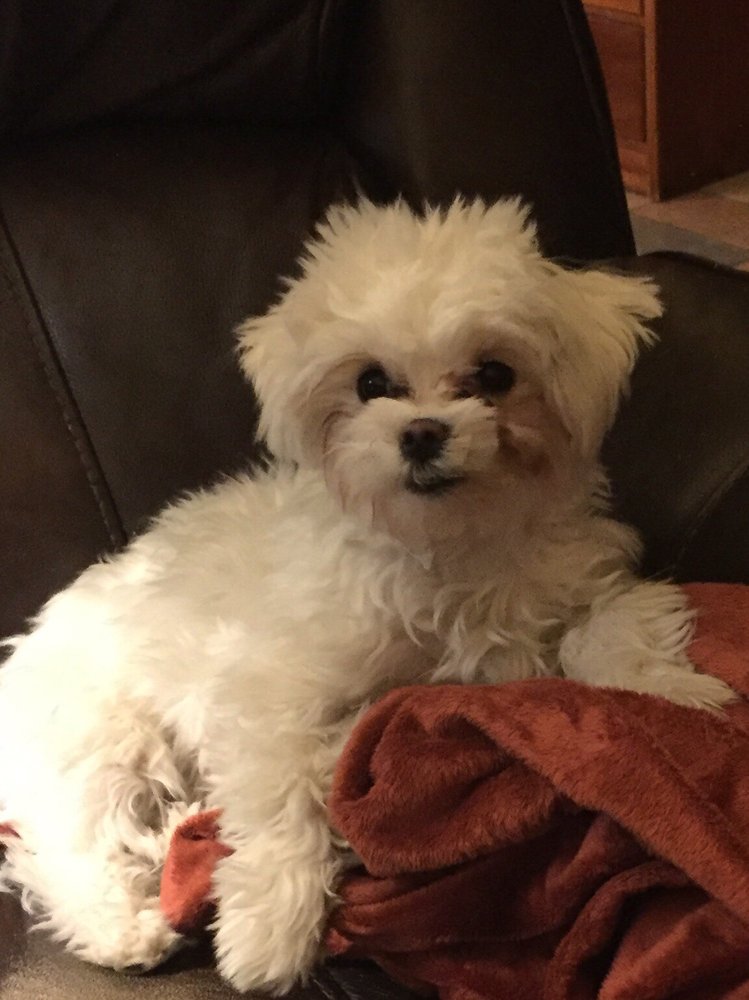 Ginny G.'s profile image