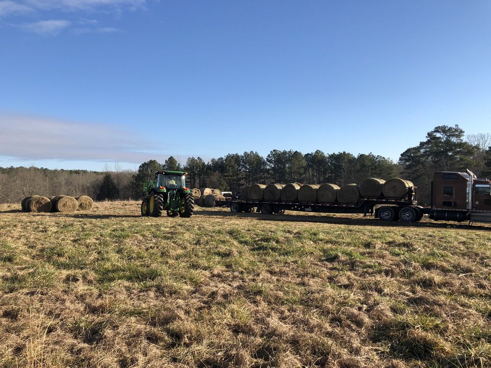 Phillip M.'s profile image