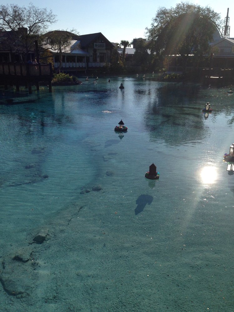 Lauren R.'s profile image