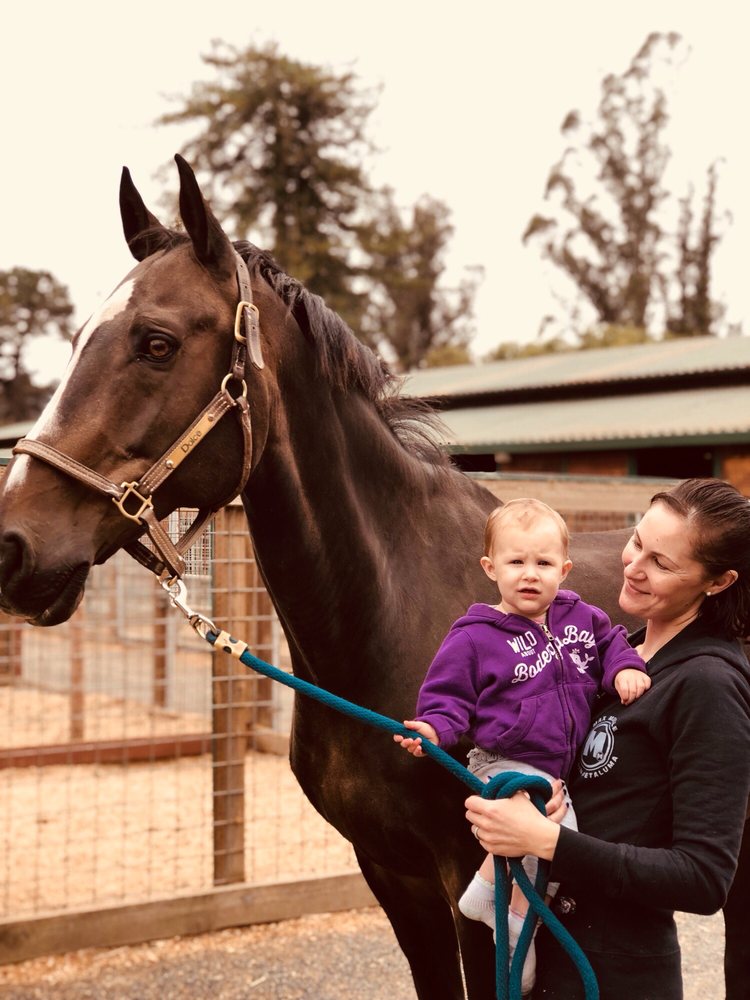 Melissa D.'s profile image