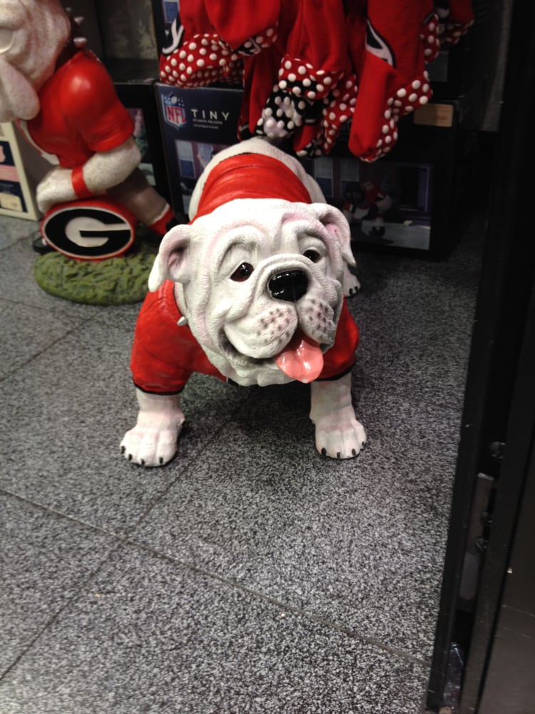 Dacia L.'s profile image