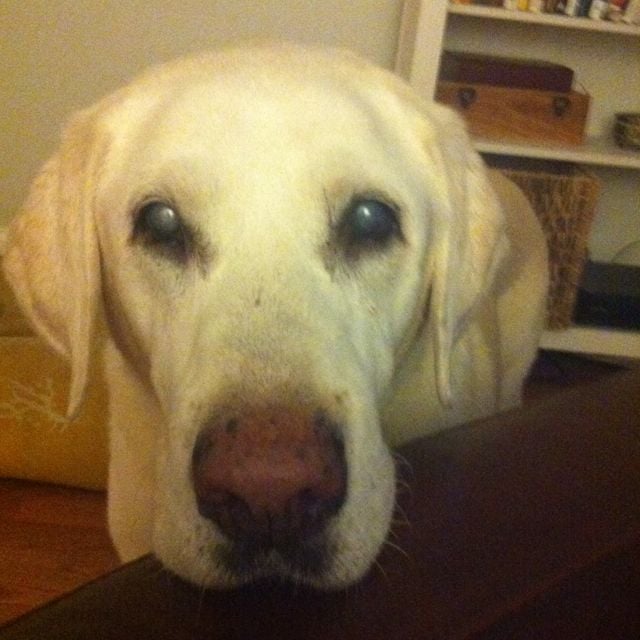 Jeff M.'s profile image