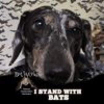 Charyse W.'s profile image