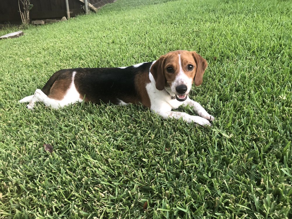 Julie L.'s profile image