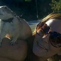 Lisa W.'s profile image
