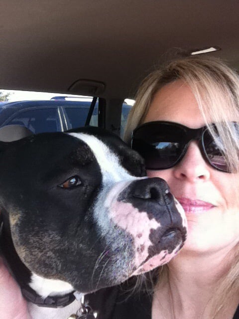 Donna T.'s profile image