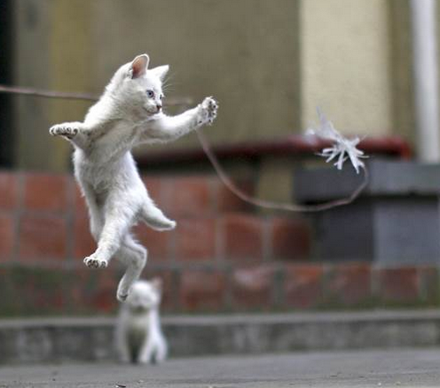 Wilchester Resident M.'s profile image