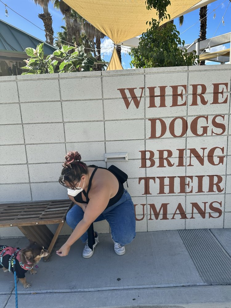 Brittany T.'s profile image