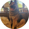 Samantha's Profile Image