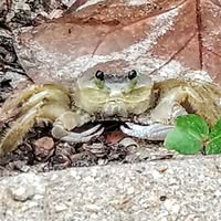 Tammie Cavanaugh's profile image