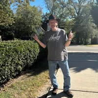 David Dadtri's profile image