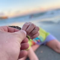 Lee Gianaro's profile image