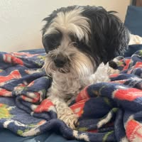 Barbara Kelley's profile image