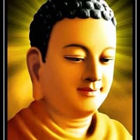 Loc Tran's profile image