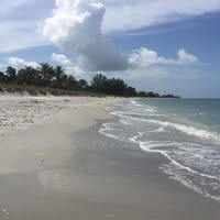 Barbara Clifford-Monroe's profile image