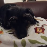 Beth Tuscher's profile image