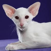 Trudy Bodzin Eddy's profile image