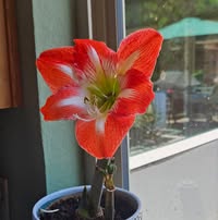 Suzanne Burda's profile image