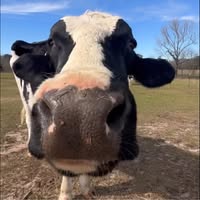 Theresa Case's profile image