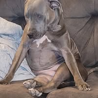 Lee Tony's profile image