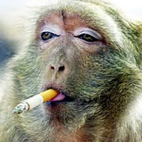 Lee Warren's profile image