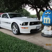 Wendell Finnegan's profile image