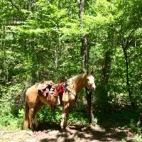 Cathy McGill's profile image