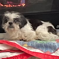 Gary Brewer's profile image