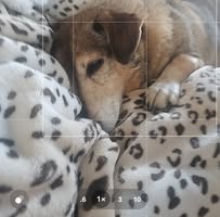 Tina Fongemie Fischer's profile image
