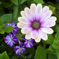 Dawn Hance's profile image