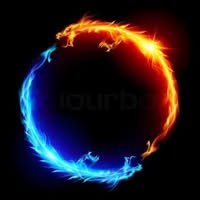 Robert Starke's profile image