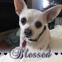 Linda Cramer's profile image