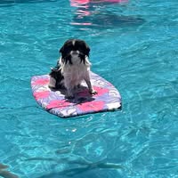 Renea Hohenfeldt's profile image