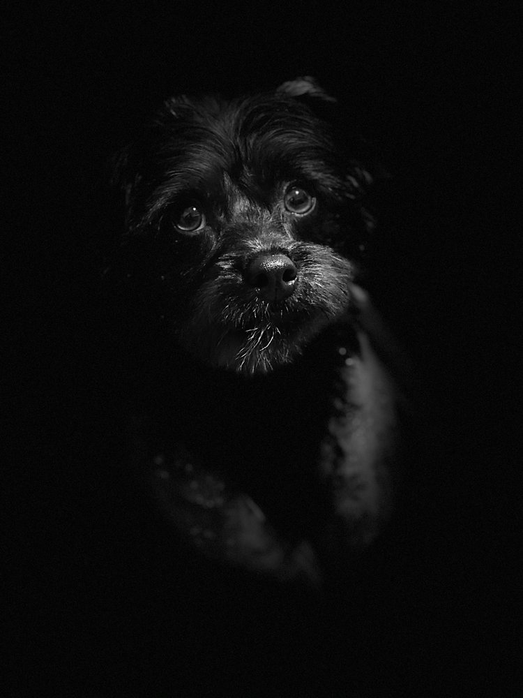 Tots M.'s profile image