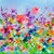 Carol Anzalone's profile image