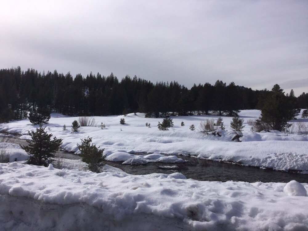 Donna R.'s profile image